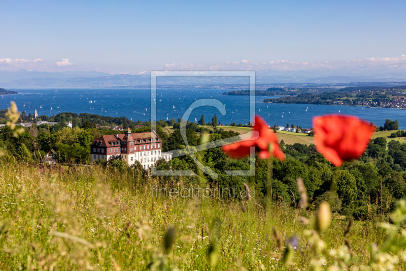 frei wählbarer Bildausschnitt für Ihr Bild auf Schieferplatte