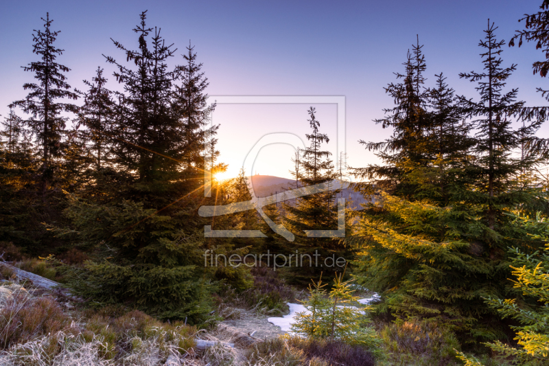 frei w&auml;hlbarer Bildausschnitt f&uuml;r Ihr Bild auf Schieferplatte