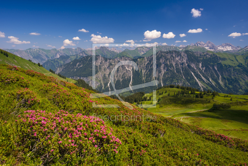 frei w&auml;hlbarer Bildausschnitt f&uuml;r Ihr Bild auf Schieferplatte
