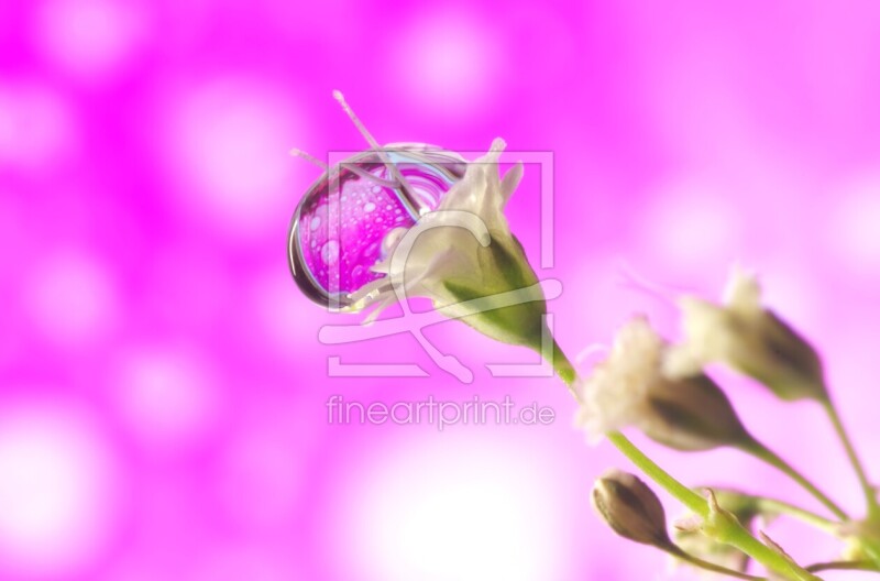 frei w&auml;hlbarer Bildausschnitt f&uuml;r Ihr Bild auf Schieferplatte