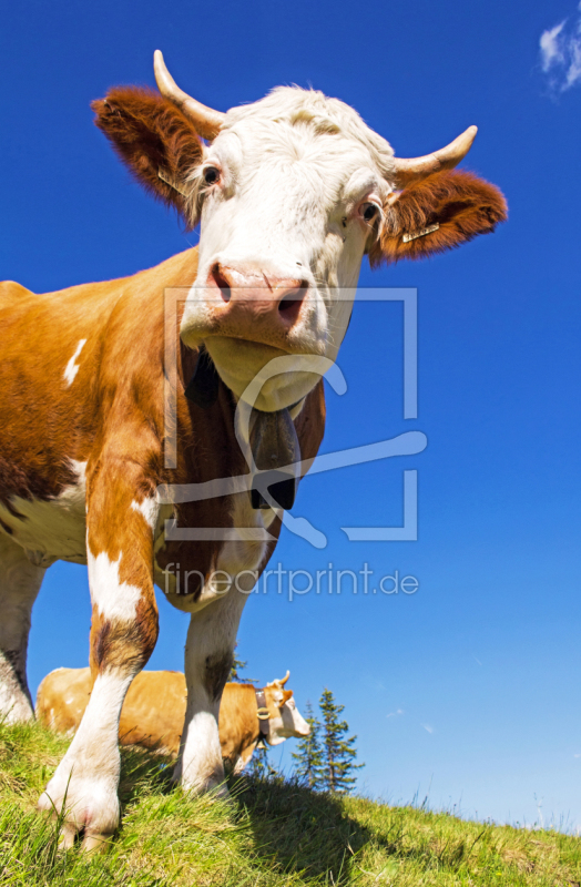 frei w&auml;hlbarer Bildausschnitt f&uuml;r Ihr Bild auf Schieferplatte
