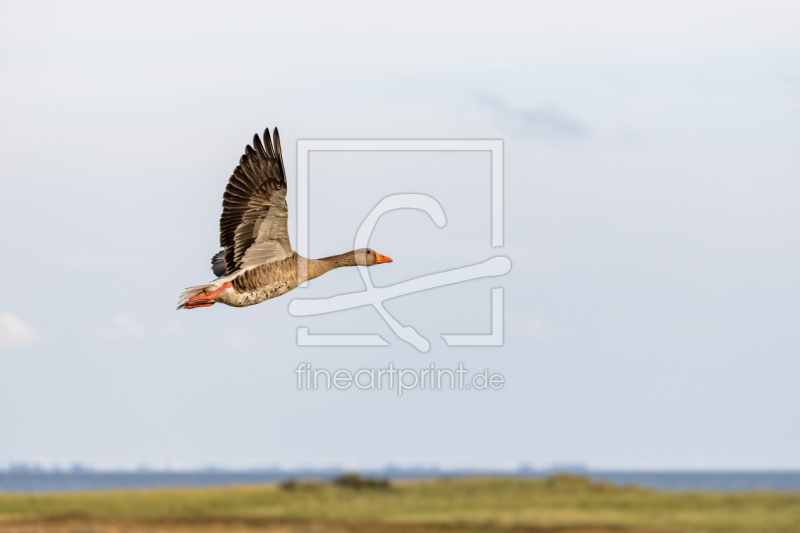 frei w&auml;hlbarer Bildausschnitt f&uuml;r Ihr Bild auf Schieferplatte
