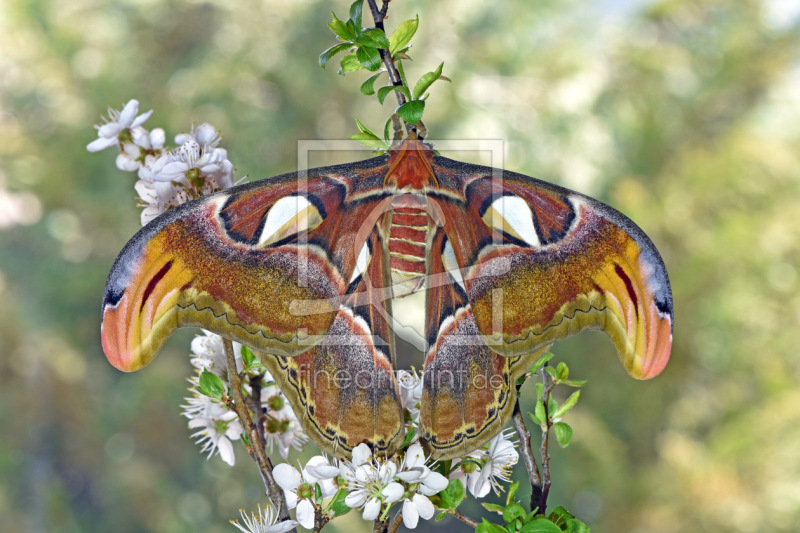 frei w&auml;hlbarer Bildausschnitt f&uuml;r Ihr Bild auf Schieferplatte