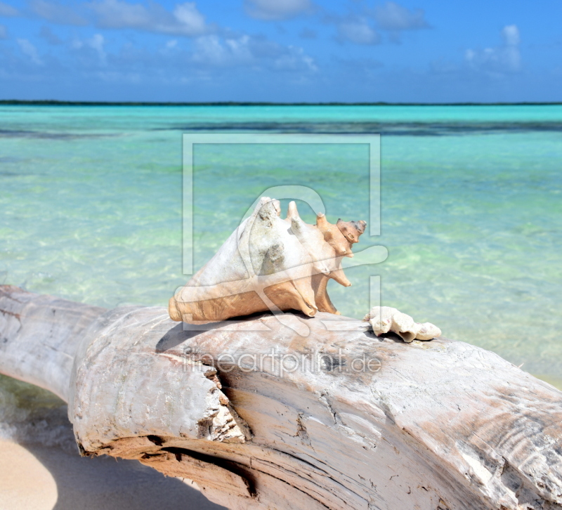 frei wählbarer Bildausschnitt für Ihr Bild auf Schieferplatte