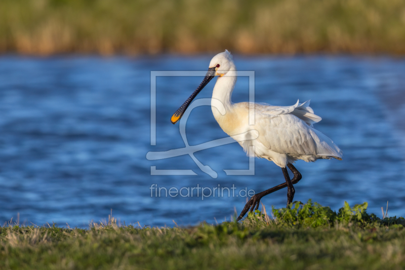 frei w&auml;hlbarer Bildausschnitt f&uuml;r Ihr Bild auf Schieferplatte
