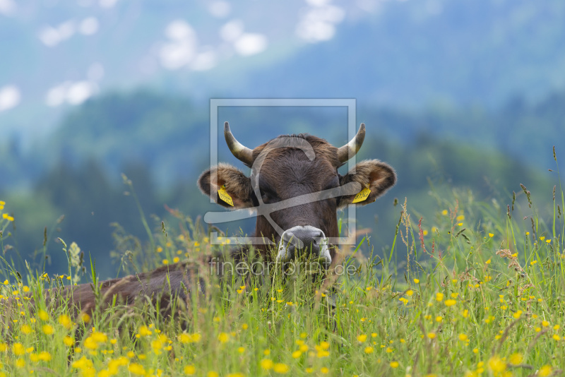 frei wählbarer Bildausschnitt für Ihr Bild auf Schieferplatte