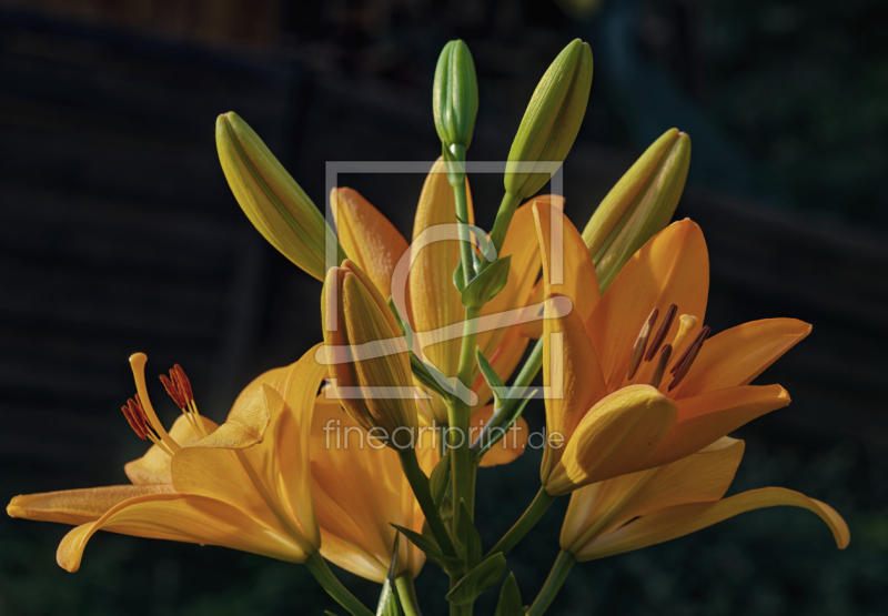 frei w&auml;hlbarer Bildausschnitt f&uuml;r Ihr Bild auf Schieferplatte