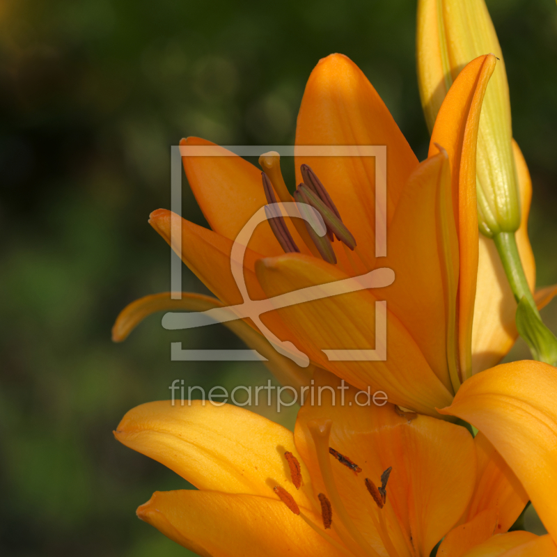 frei w&auml;hlbarer Bildausschnitt f&uuml;r Ihr Bild auf Schieferplatte