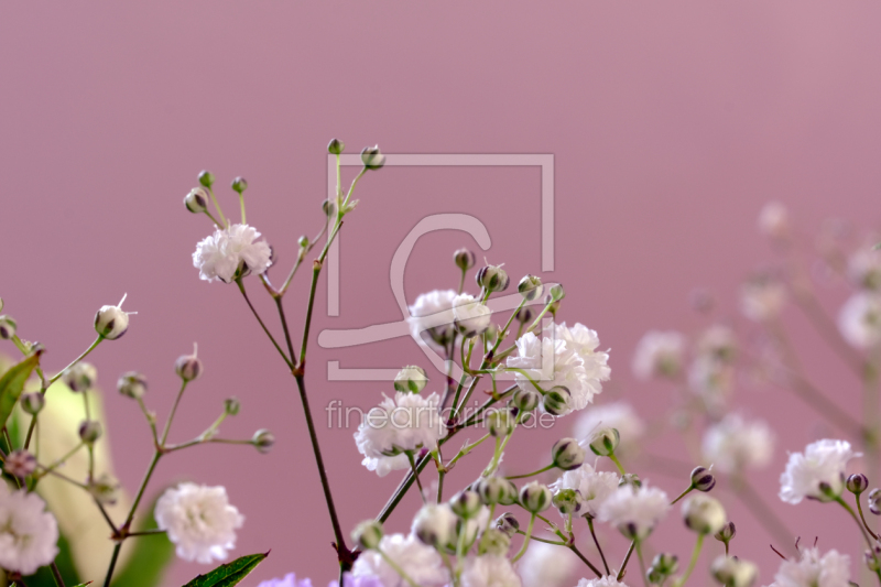 frei wählbarer Bildausschnitt für Ihr Bild auf Schieferplatte