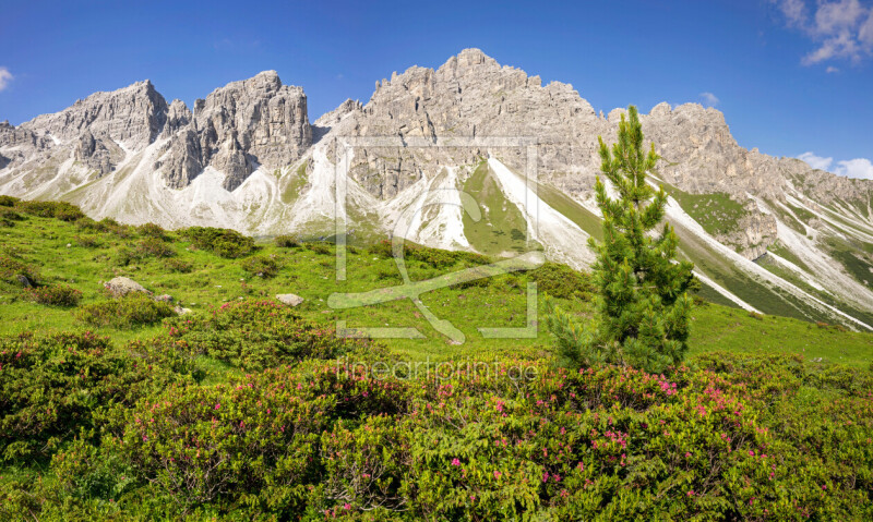 frei w&auml;hlbarer Bildausschnitt f&uuml;r Ihr Bild auf Schieferplatte