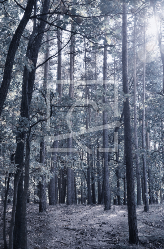 frei wählbarer Bildausschnitt für Ihr Bild auf Schieferplatte