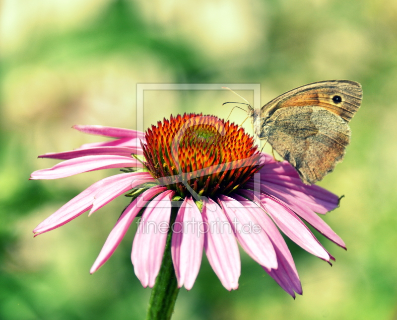 frei w&auml;hlbarer Bildausschnitt f&uuml;r Ihr Bild auf Schieferplatte