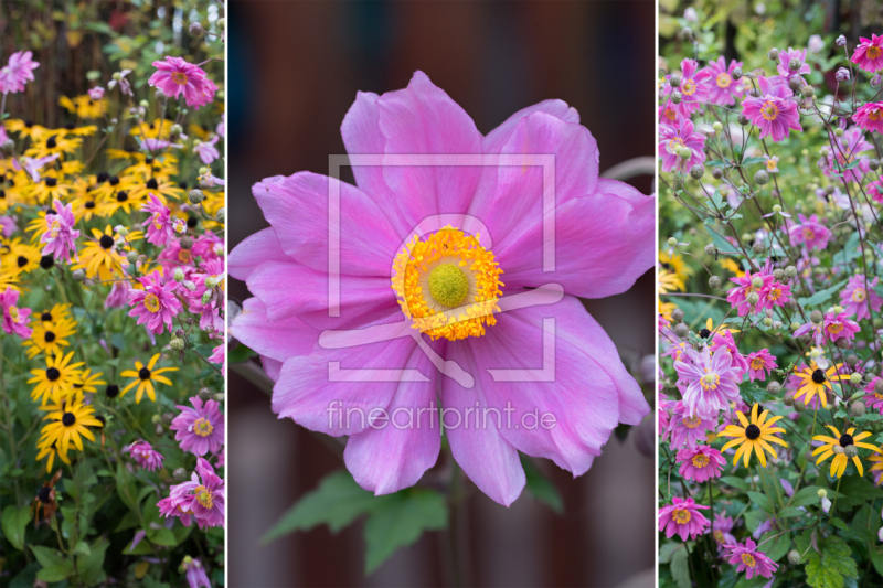 frei wählbarer Bildausschnitt für Ihr Bild auf Schieferplatte