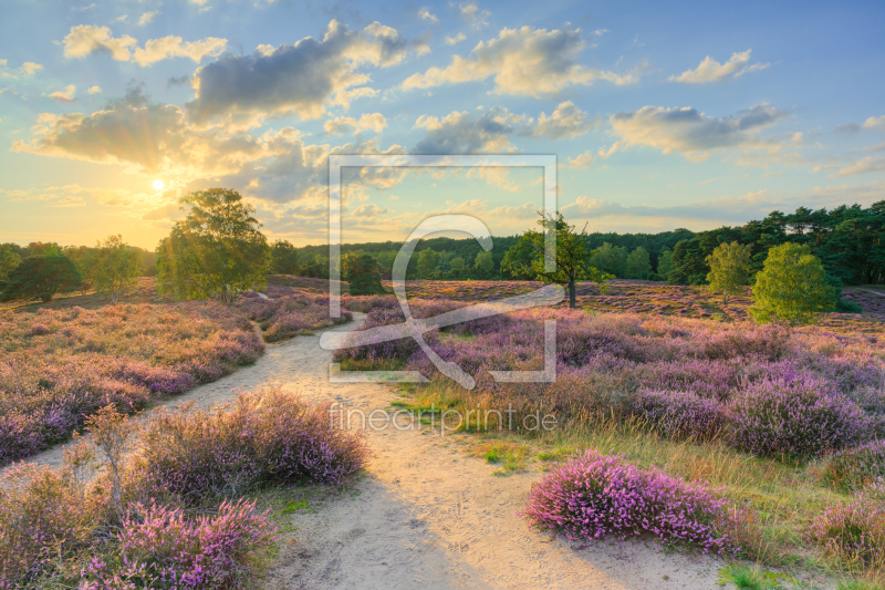 frei wählbarer Bildausschnitt für Ihr Bild auf Schieferplatte