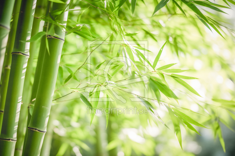 frei w&auml;hlbarer Bildausschnitt f&uuml;r Ihr Bild auf Schieferplatte