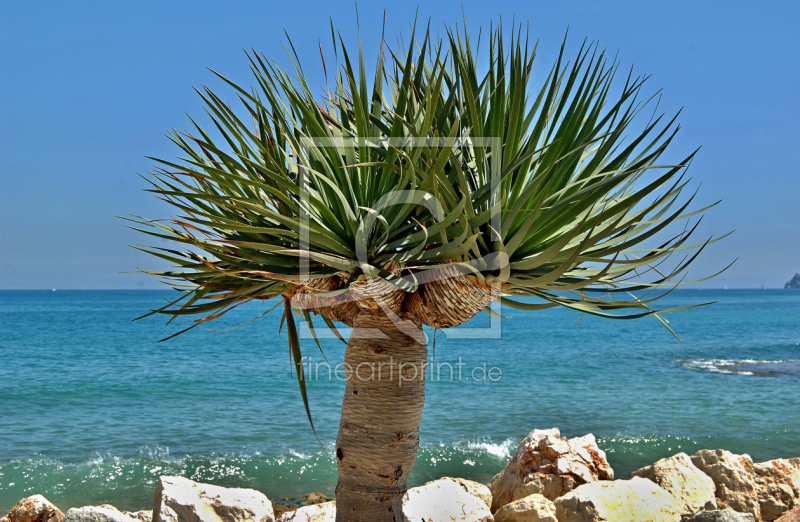 frei w&auml;hlbarer Bildausschnitt f&uuml;r Ihr Bild auf Schieferplatte