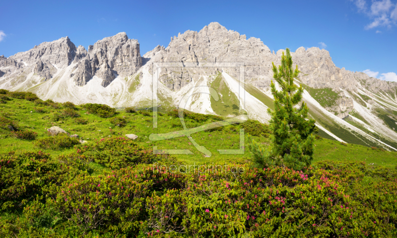 frei w&auml;hlbarer Bildausschnitt f&uuml;r Ihr Bild auf Schieferplatte