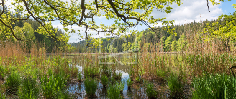 frei wählbarer Bildausschnitt für Ihr Bild auf Schieferplatte