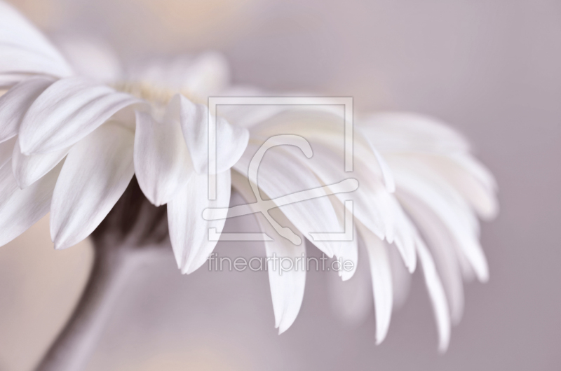 frei w&auml;hlbarer Bildausschnitt f&uuml;r Ihr Bild auf Schieferplatte