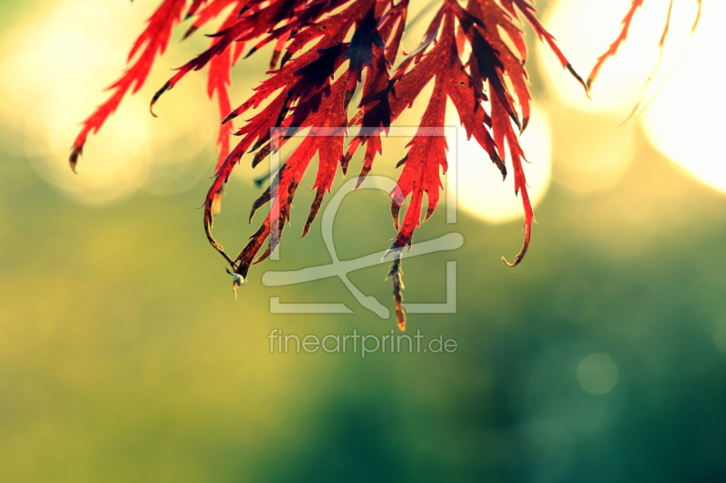 frei w&auml;hlbarer Bildausschnitt f&uuml;r Ihr Bild auf Schieferplatte