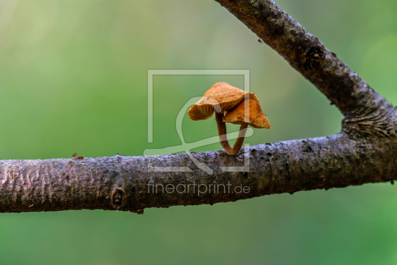 frei w&auml;hlbarer Bildausschnitt f&uuml;r Ihr Bild auf Schieferplatte
