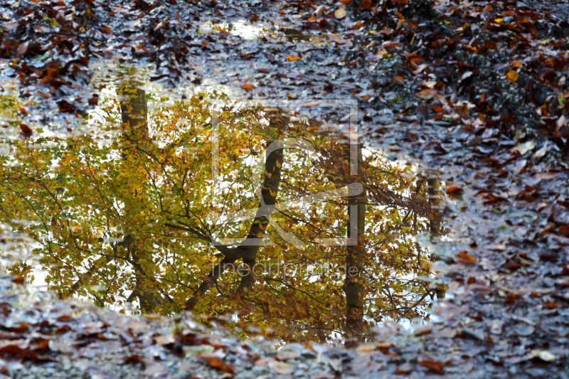frei w&auml;hlbarer Bildausschnitt f&uuml;r Ihr Bild auf Schieferplatte