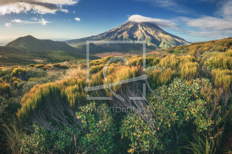 frei wählbarer Bildausschnitt für Ihr Bild auf Schieferplatte