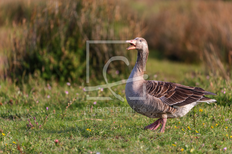 frei wählbarer Bildausschnitt für Ihr Bild auf Schieferplatte