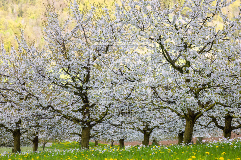 frei w&auml;hlbarer Bildausschnitt f&uuml;r Ihr Bild auf Schieferplatte