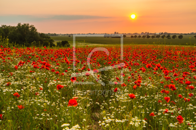 frei wählbarer Bildausschnitt für Ihr Bild auf Schieferplatte