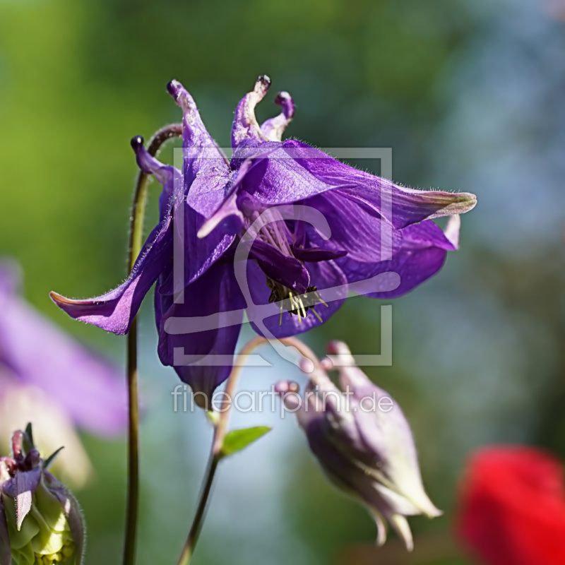 frei w&auml;hlbarer Bildausschnitt f&uuml;r Ihr Bild auf Schieferplatte