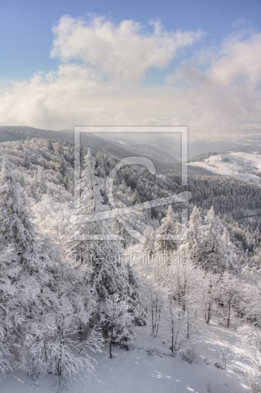 frei wählbarer Bildausschnitt für Ihr Bild auf Schieferplatte