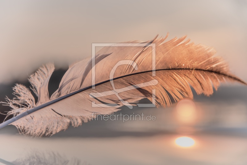 frei wählbarer Bildausschnitt für Ihr Bild auf Schieferplatte