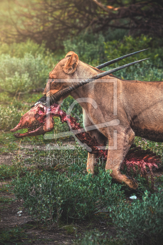 frei w&auml;hlbarer Bildausschnitt f&uuml;r Ihr Bild auf Schieferplatte