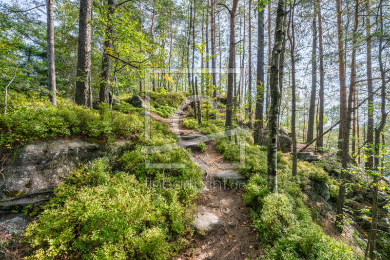 frei wählbarer Bildausschnitt für Ihr Bild auf Schieferplatte