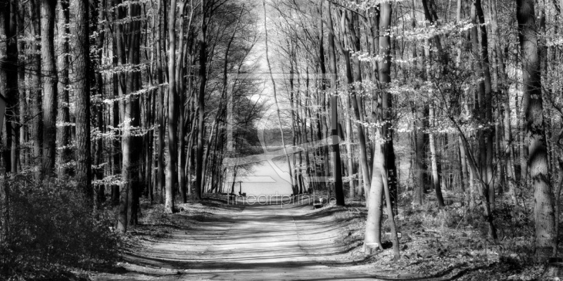 frei w&auml;hlbarer Bildausschnitt f&uuml;r Ihr Bild auf Schieferplatte