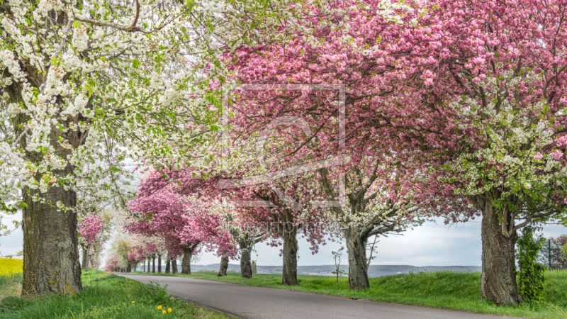 frei w&auml;hlbarer Bildausschnitt f&uuml;r Ihr Bild auf Schieferplatte