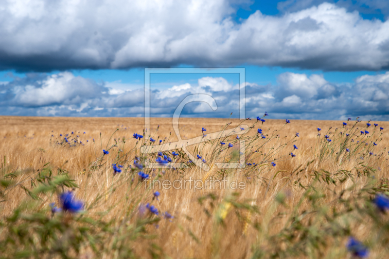 frei wählbarer Bildausschnitt für Ihr Bild auf Schieferplatte