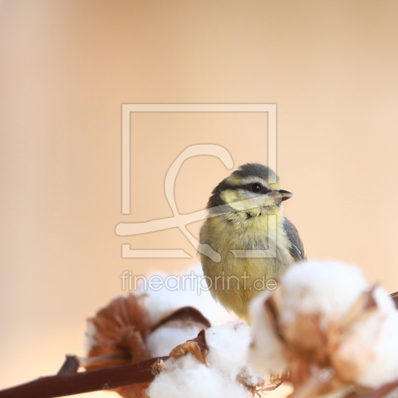 frei wählbarer Bildausschnitt für Ihr Bild auf Schieferplatte