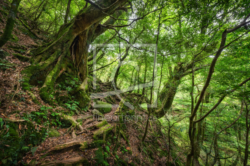 frei w&auml;hlbarer Bildausschnitt f&uuml;r Ihr Bild auf Schieferplatte
