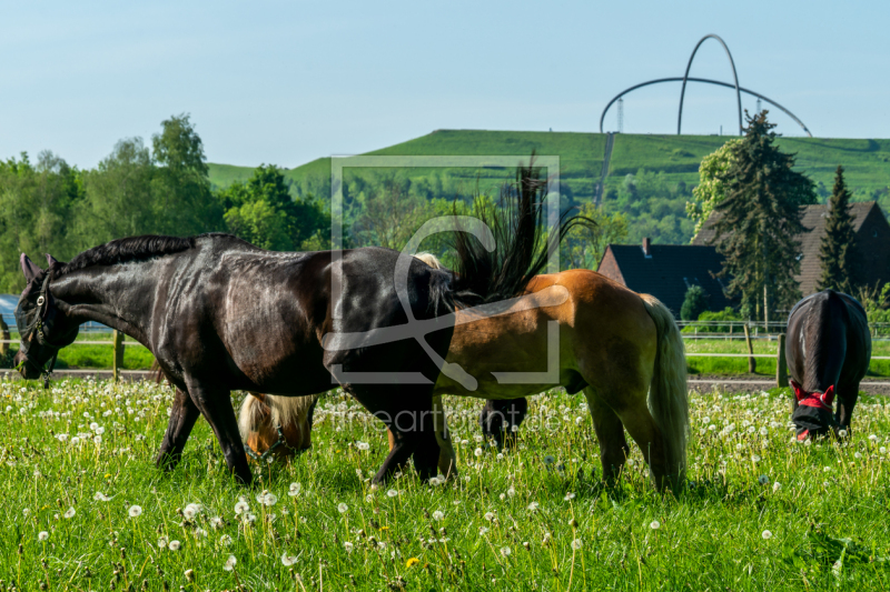 frei wählbarer Bildausschnitt für Ihr Bild auf Schieferplatte