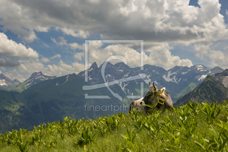 frei wählbarer Bildausschnitt für Ihr Bild auf Schieferplatte