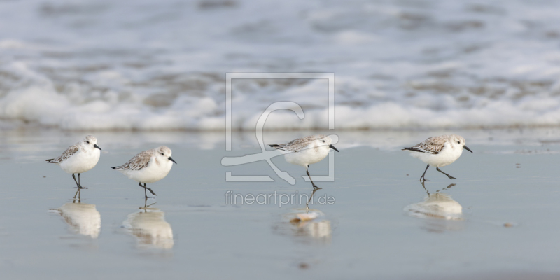 frei wählbarer Bildausschnitt für Ihr Bild auf Schieferplatte