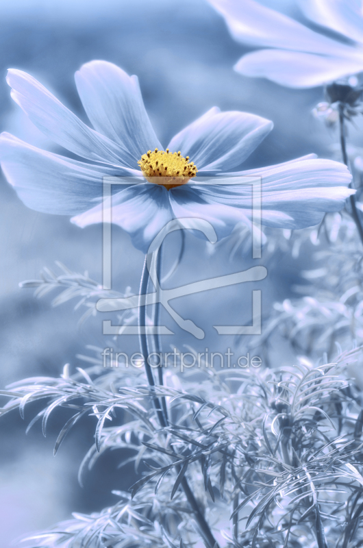 frei w&auml;hlbarer Bildausschnitt f&uuml;r Ihr Bild auf Schieferplatte