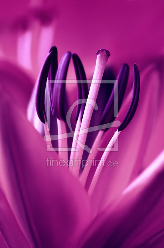 frei wählbarer Bildausschnitt für Ihr Bild auf Schieferplatte