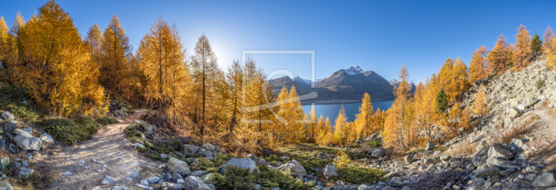 frei wählbarer Bildausschnitt für Ihr Bild auf Schieferplatte