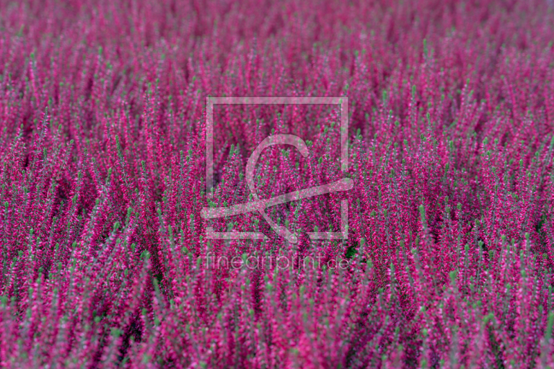 frei w&auml;hlbarer Bildausschnitt f&uuml;r Ihr Bild auf Schieferplatte