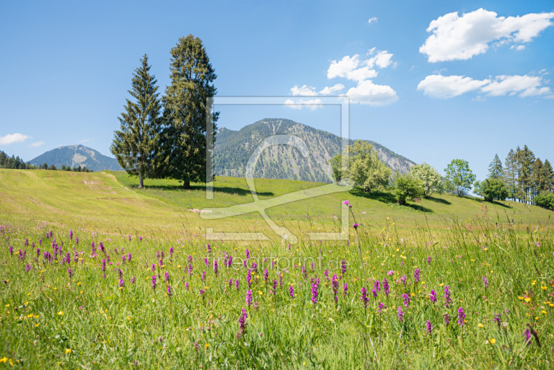 frei w&auml;hlbarer Bildausschnitt f&uuml;r Ihr Bild auf Schieferplatte