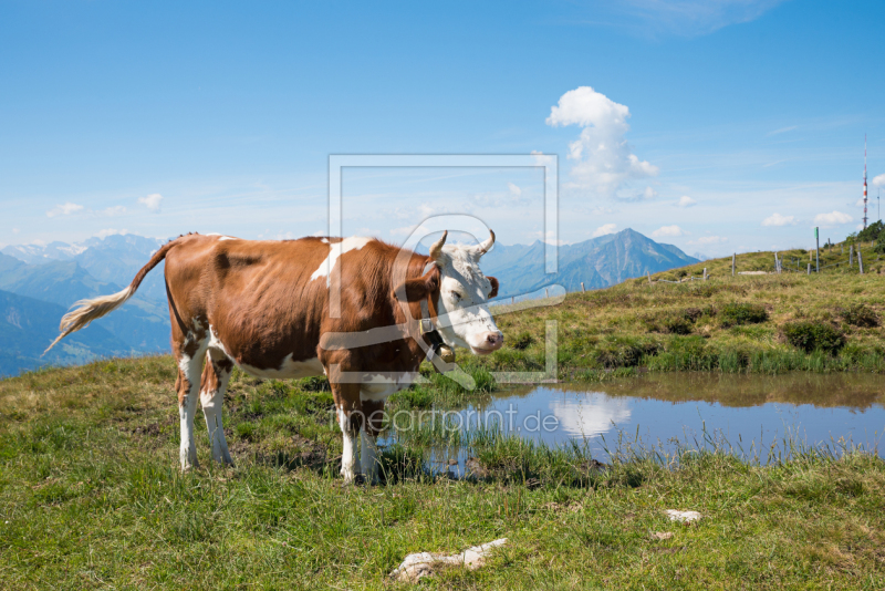 frei wählbarer Bildausschnitt für Ihr Bild auf Schieferplatte