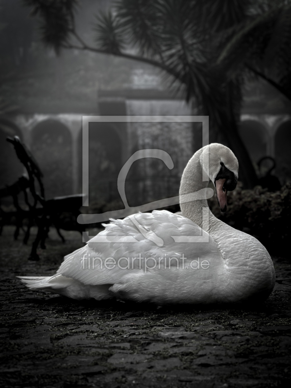 frei wählbarer Bildausschnitt für Ihr Bild auf Schieferplatte